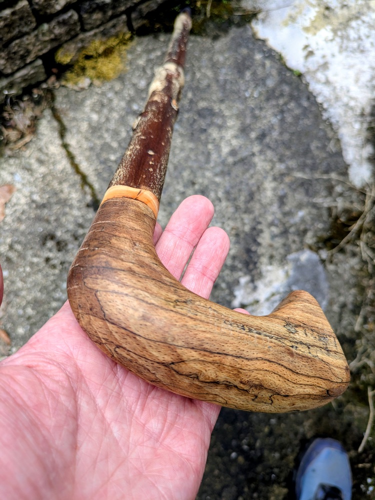 Holly sticks