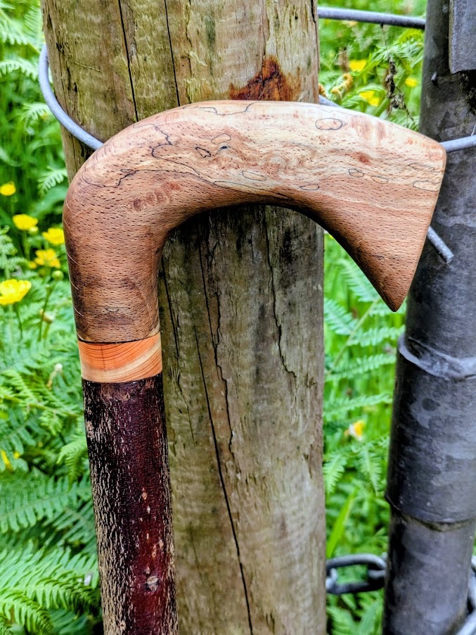 Spalted beech Crook handle  Irish Holly walking stick with yew spacer 39 inches