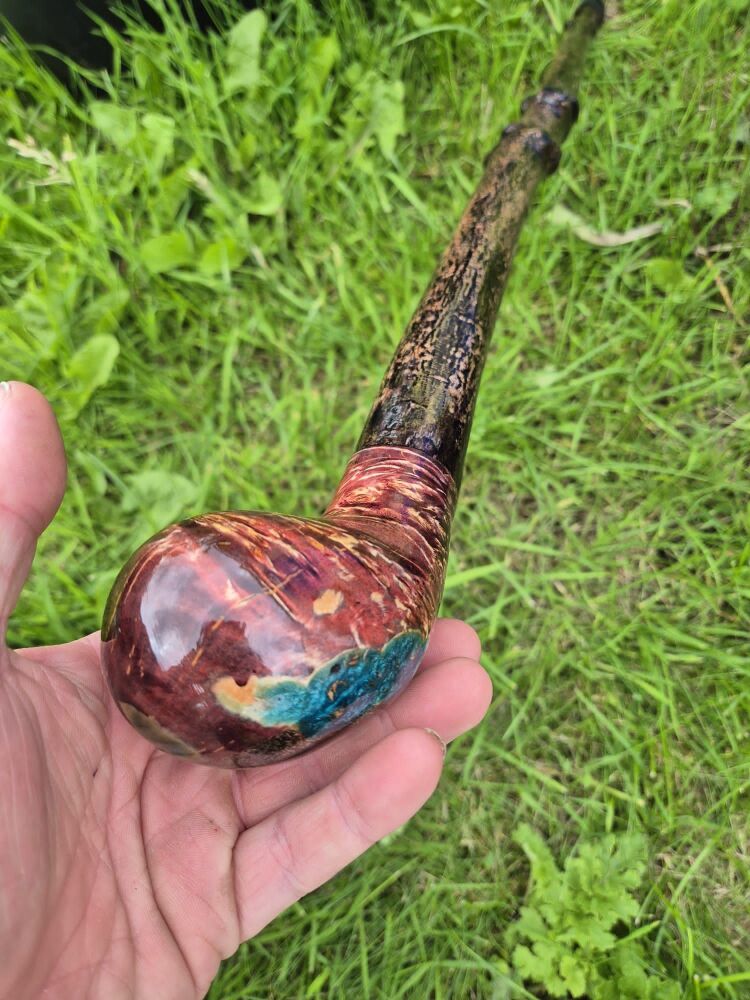 39 inch Birch Burl handle on Holly walking stick