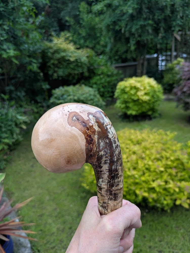 hazel-walking-stick