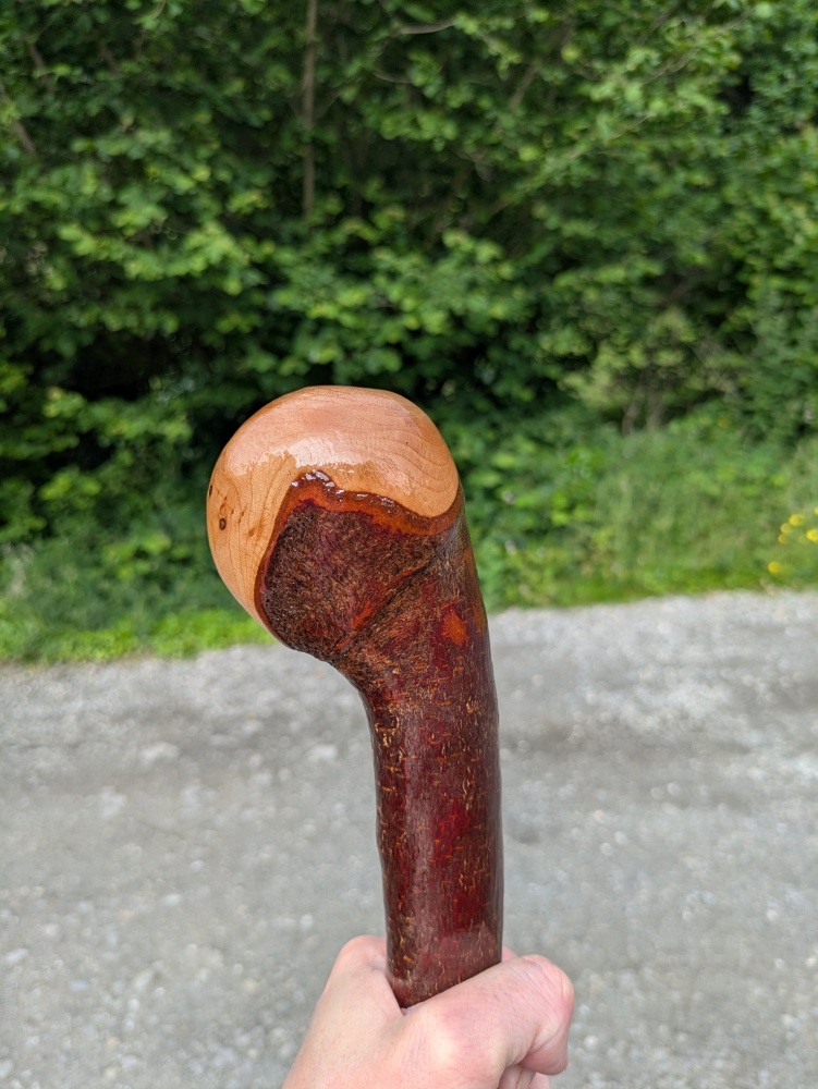 Irish Blackthorn Shillelagh Walking Stick &ndash; Heavy Knob Handle Blackthorn with Natural Knuckles &ndash; 43.5 Inch