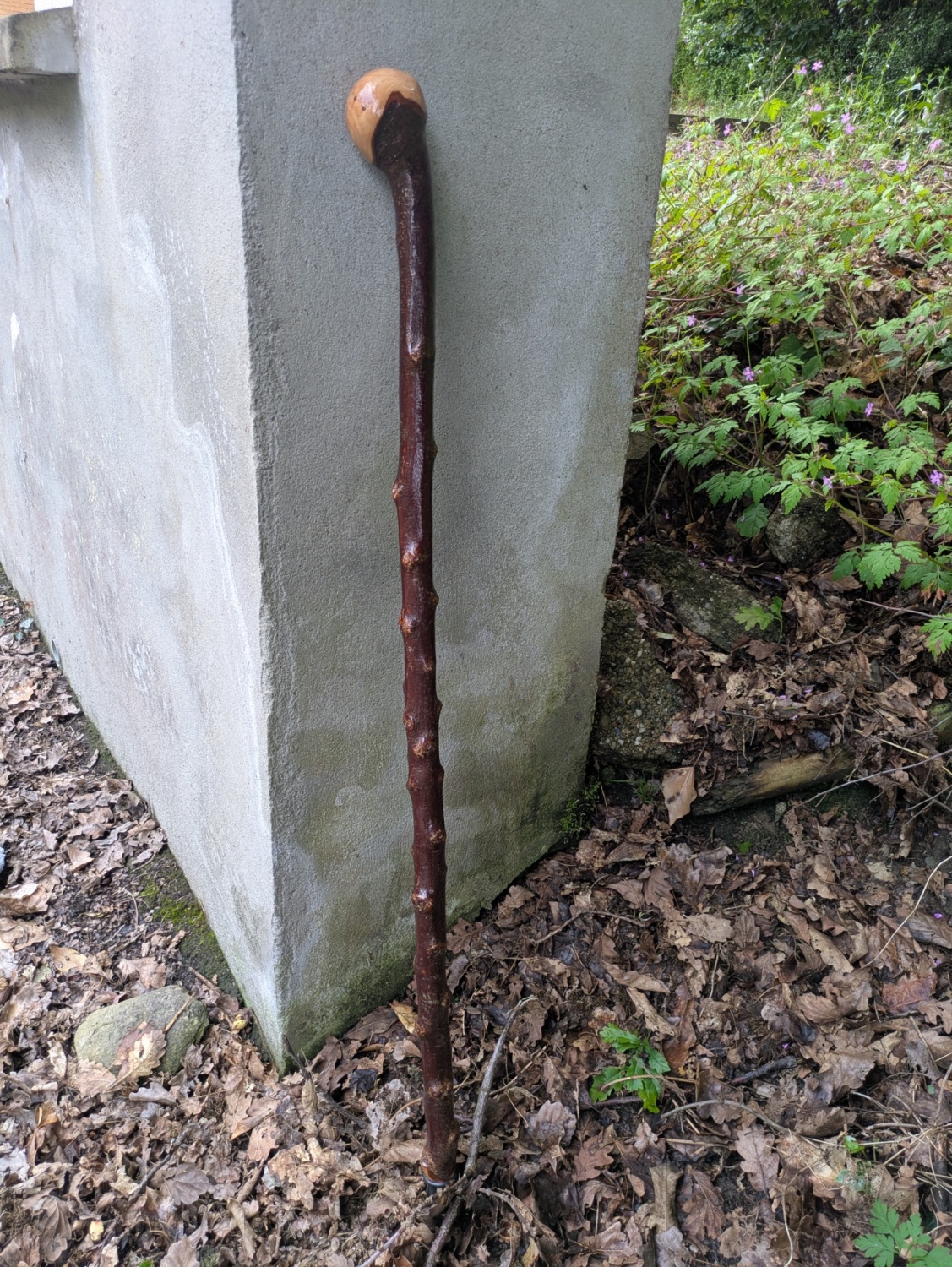 trational-irish-blackthorn-shillelagh
