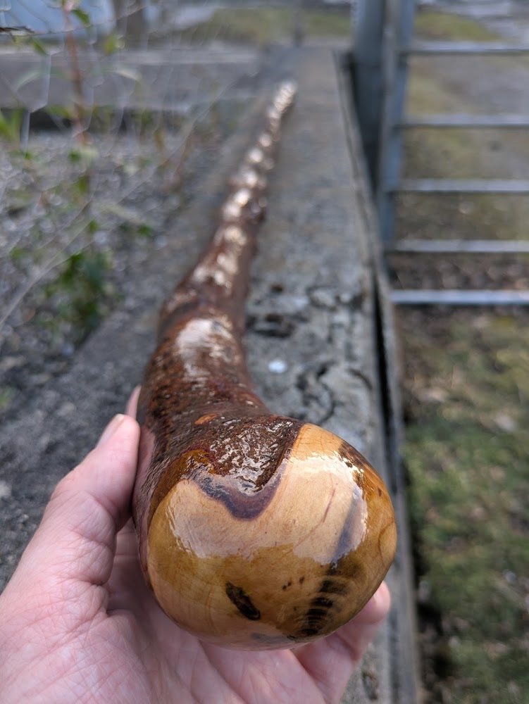 irish-blackthorn-shillelagh