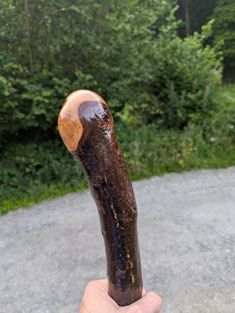 Irish Blackthorn Walking Stick &ndash; Stout Traditional Shillelagh Style