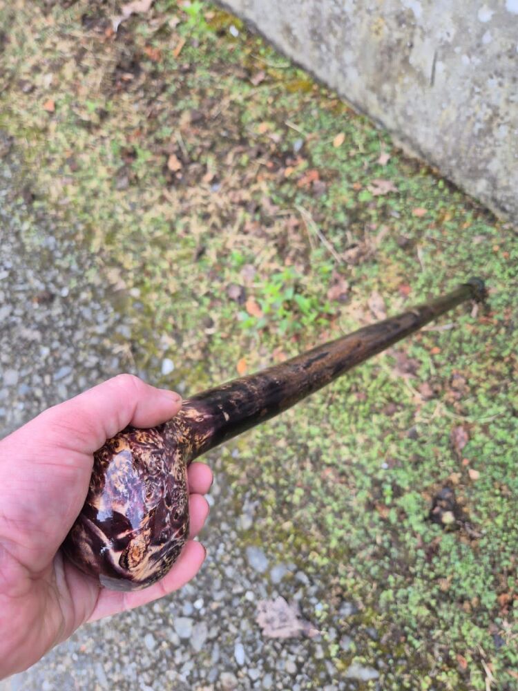 Irish Holly Walking Stick with Birch Burl Knob Handle - 38.5 Inch 690g