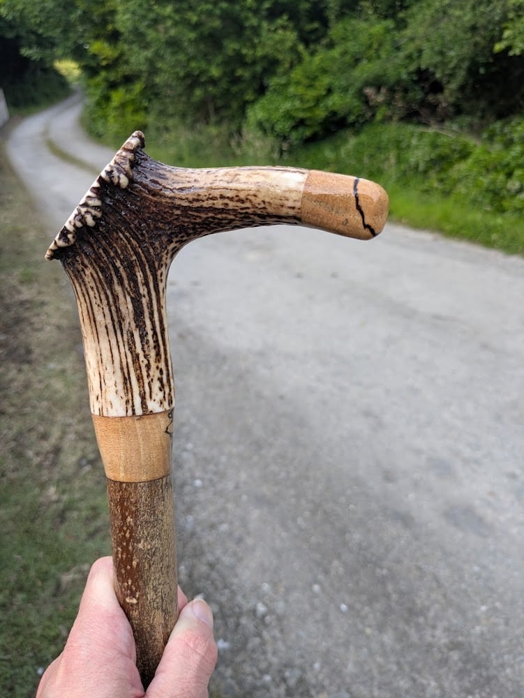 Irish Holly Walking Stick with Antler Handle & One Punt Stag Coin &ndash; 47"