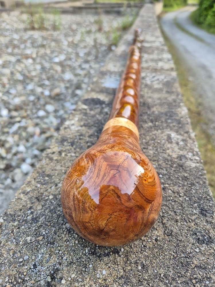 Irish Blackthorn Walking Stick &ndash; Burl Elm Handle & Burl Birch Spacer