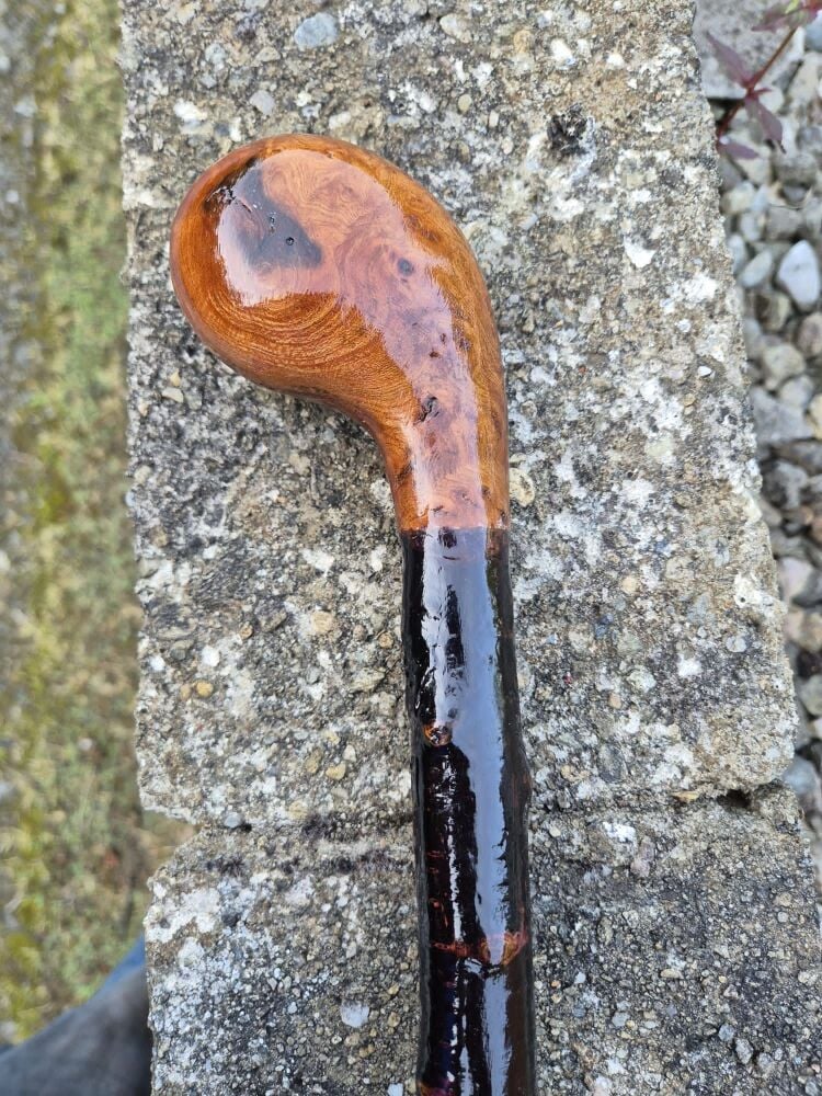Authentic Irish Blackthorn Walking Stick &ndash; 37" Burl Elm Handle, 438g, Heavy Knuckles