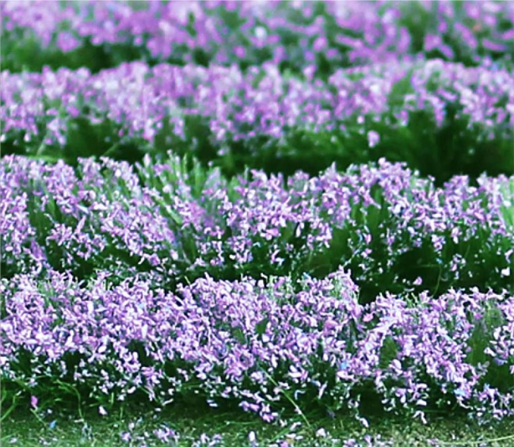 Tasma 00712  Lavender (125mm x 155mm Sheet)