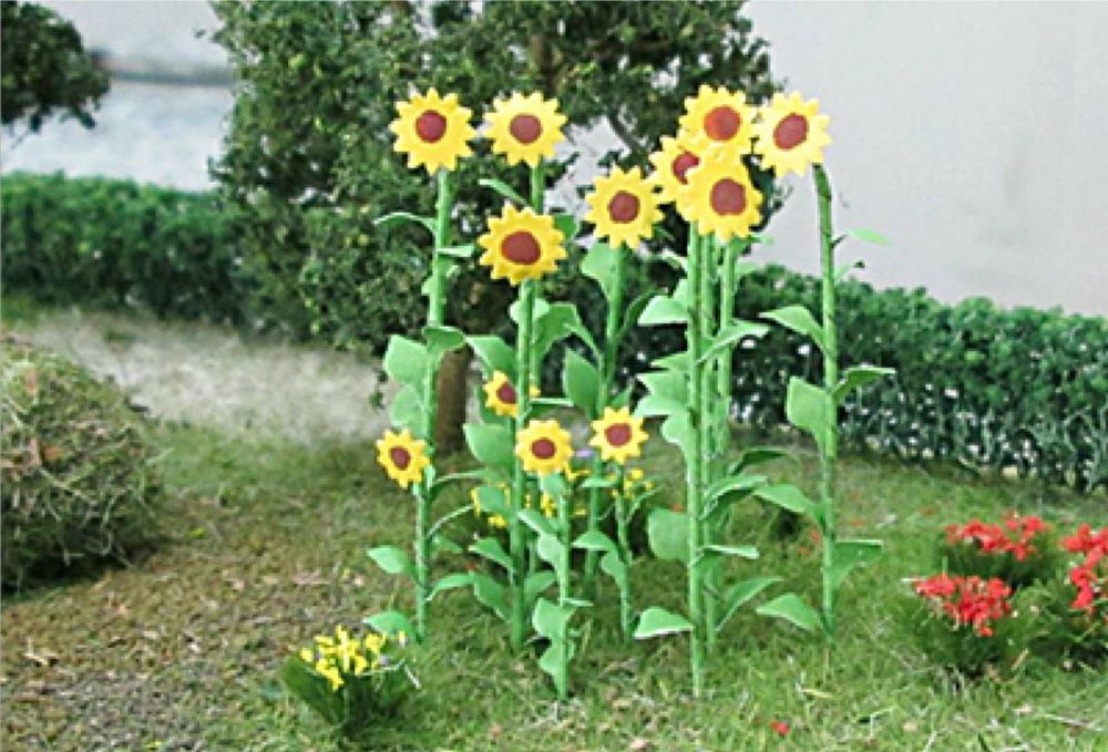 Tasma 00676  Sunflowers (16)