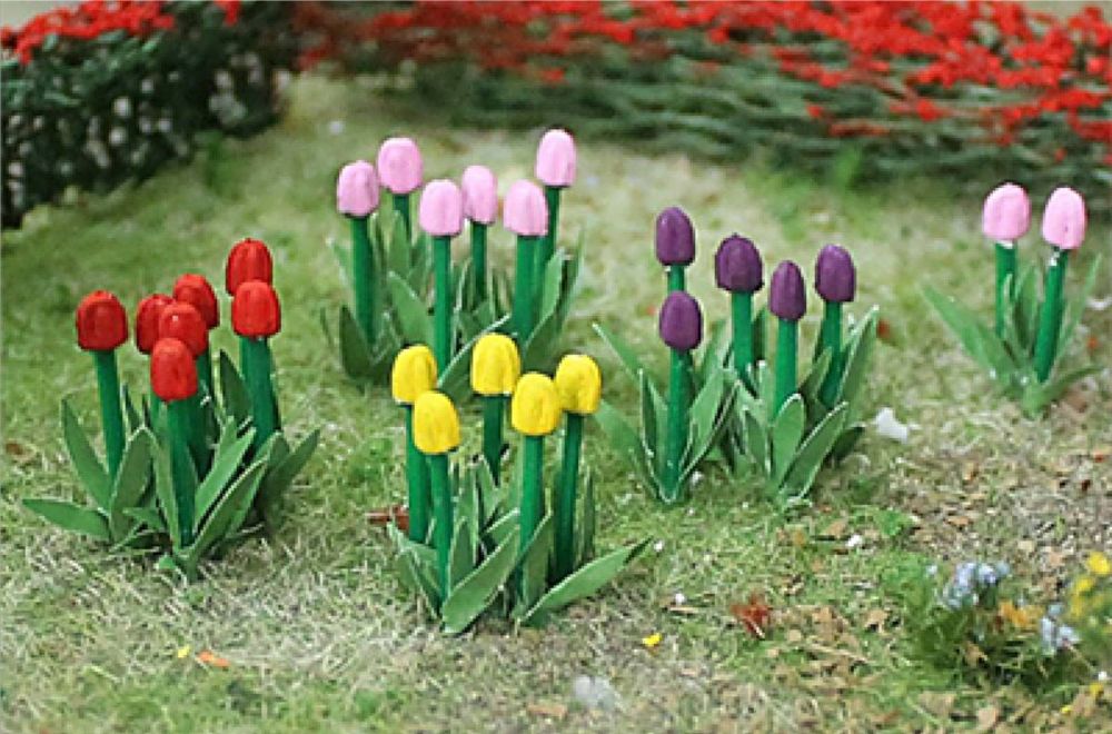 Tasma 00675  Tulipss (44)
