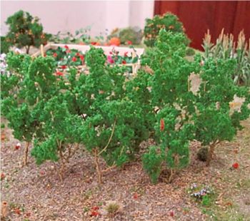 Tasma 00936  Medium Green Branches (50)