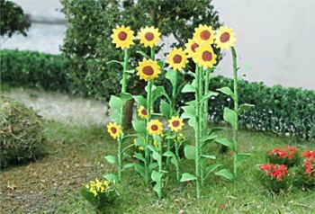 Tasma 00904  Sunflowers (14 per pack)