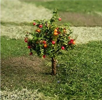 Tasma 00965  Apple Trees (4)