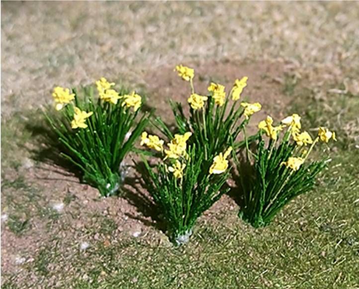  Tasma 00982  Daffodils