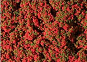 Auhagen 76932  Red Flower Mat 'HO'