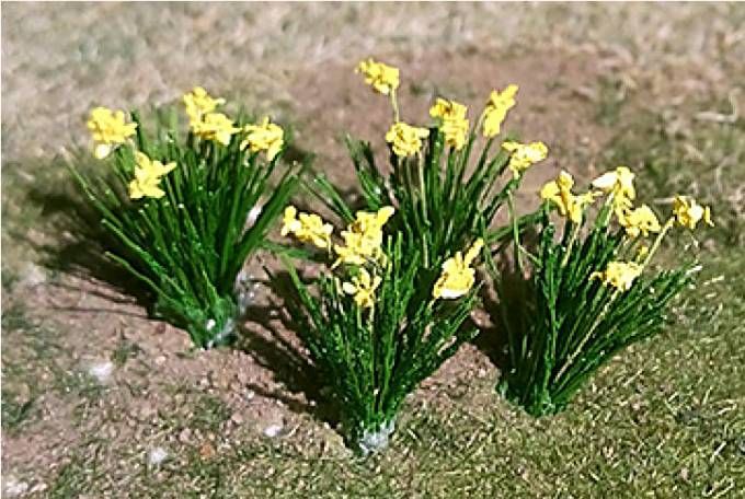 Tasma 01002  Daffodils (18 per pack)