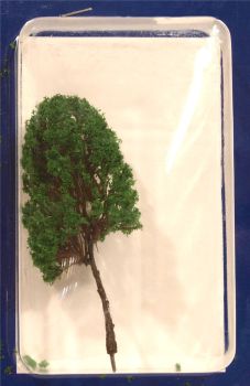 Tasma TP100M  100mm Medium Green Oak Tree