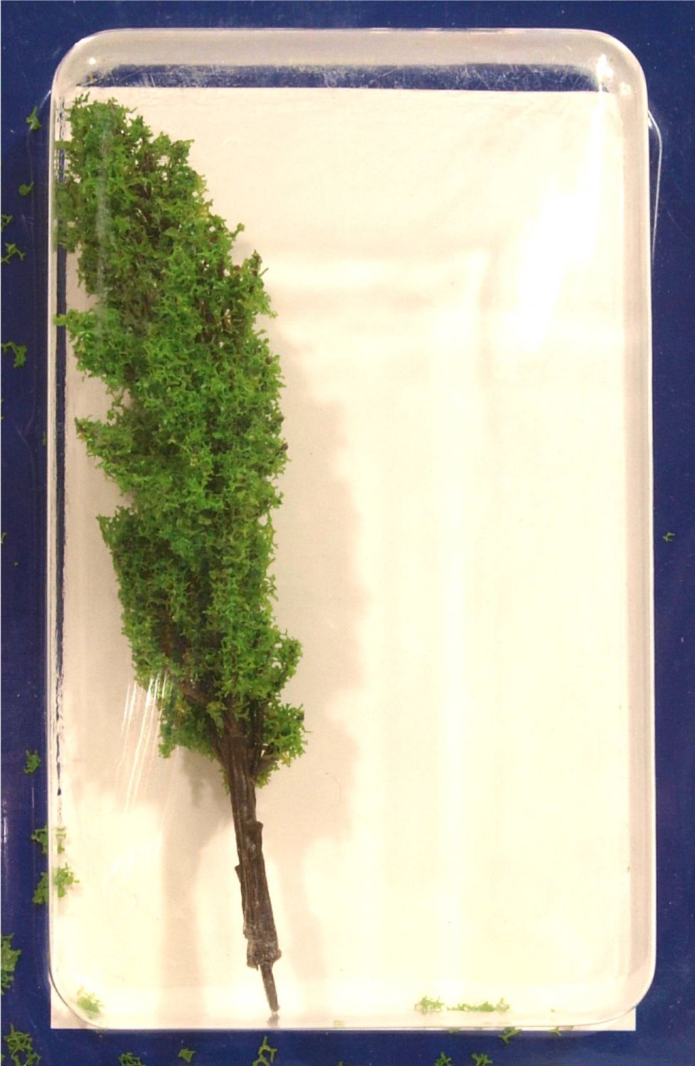 Tasma TO120L  120mm Light Green Poplar Tree