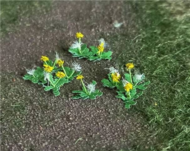   Tasma 01035  Dandelions (14 per pack)