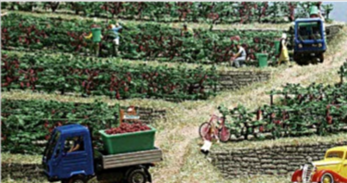 Busch 1200  Grapevines 'OO/HO'