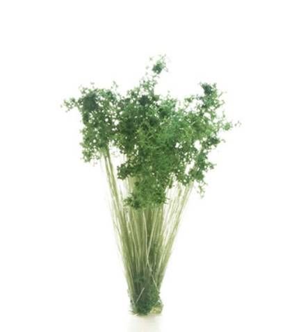All Game Terrain G6632  Dark Green Shrubs Tufts