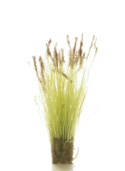 All Game Terrain G6633  Cattails Tufts
