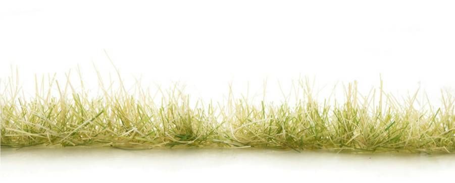 All Game Terrain G6644  Light Green Edging