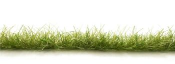 All Game Terrain G6645  Dark Green Edging