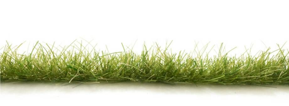 All Game Terrain G6645  Dark Green Edging