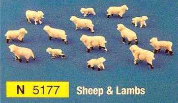 N5177  Sheep & Lambs