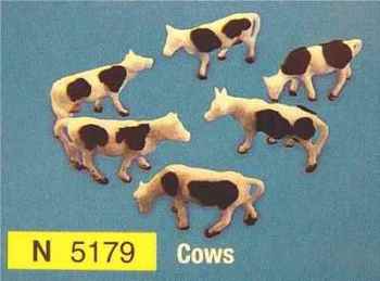 N5179  Cows