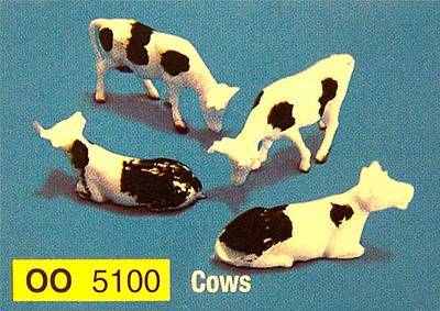 5100  Cows