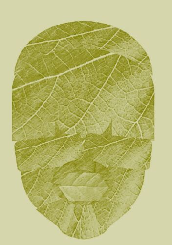 Leaf_Face_Olive Leaf_Face_Olive