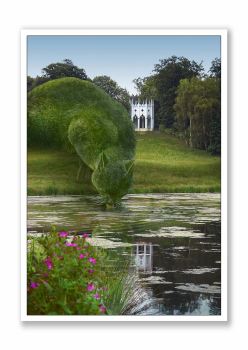 Topiary Cat - Greeting Card - Drinking