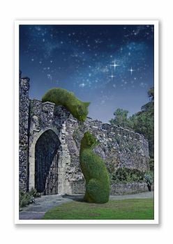 Topiary Cat - Greeting Card - Hertford Castle Moonlight Tryst