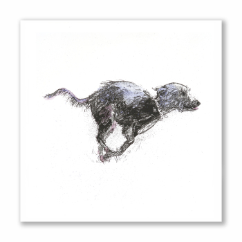 Frisky Tinkerbell - Greetings Card