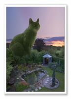 Topiary Cat - Evening Light