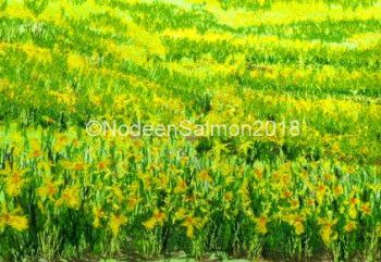 Daffodils In Spring_ Nodeen Salmon_02 (1)