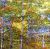 Nodeen Salmon Silver Birch in Autumn 1.1