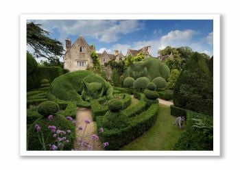 Topiary Cat - NEW Greeting Card - Abbey House Serenity