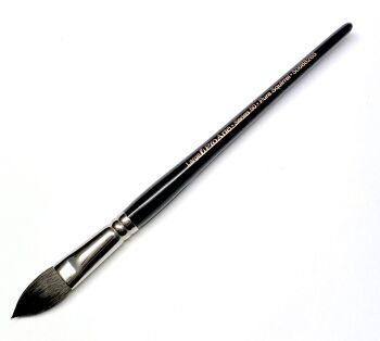 Pro Arte Series 50 Squirrel Wash Brush