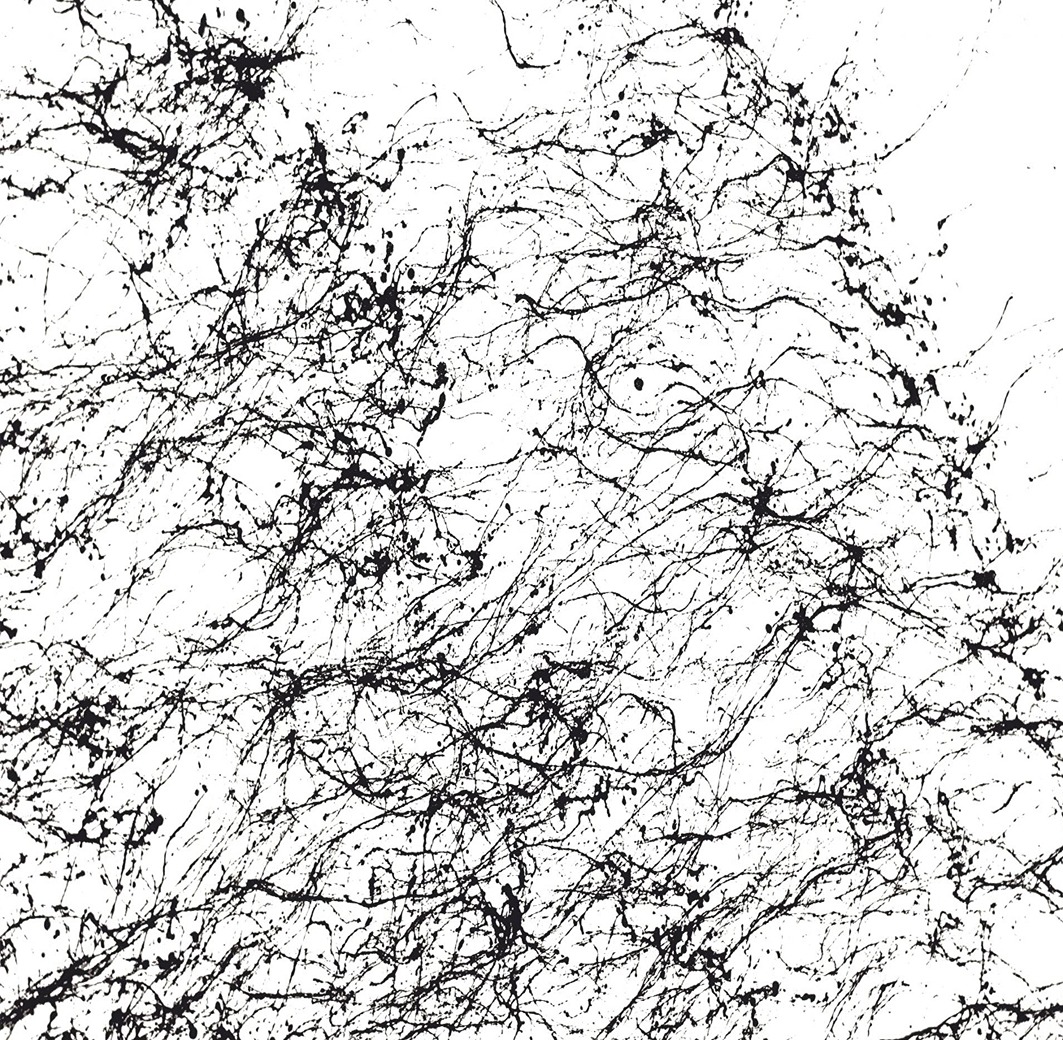Montana_SPIDER.1
