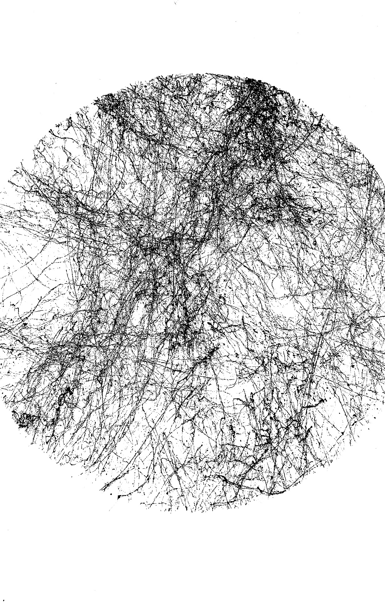Montana Marble Effect 4.1.jpg