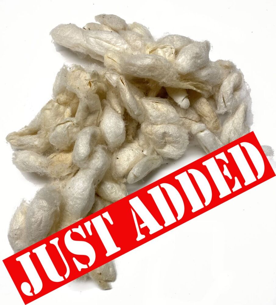 Soaked Silk Cocoons
