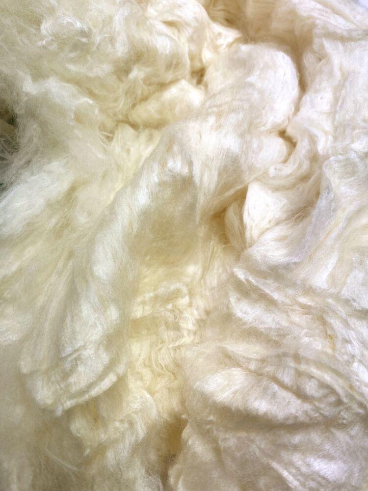 <!--001.4-->Silk Laps