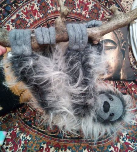 sloth sloth