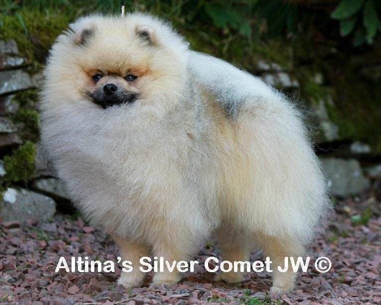 Altina's Silver Comet