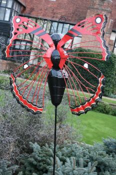 Wisley 2016 Red Sergeant