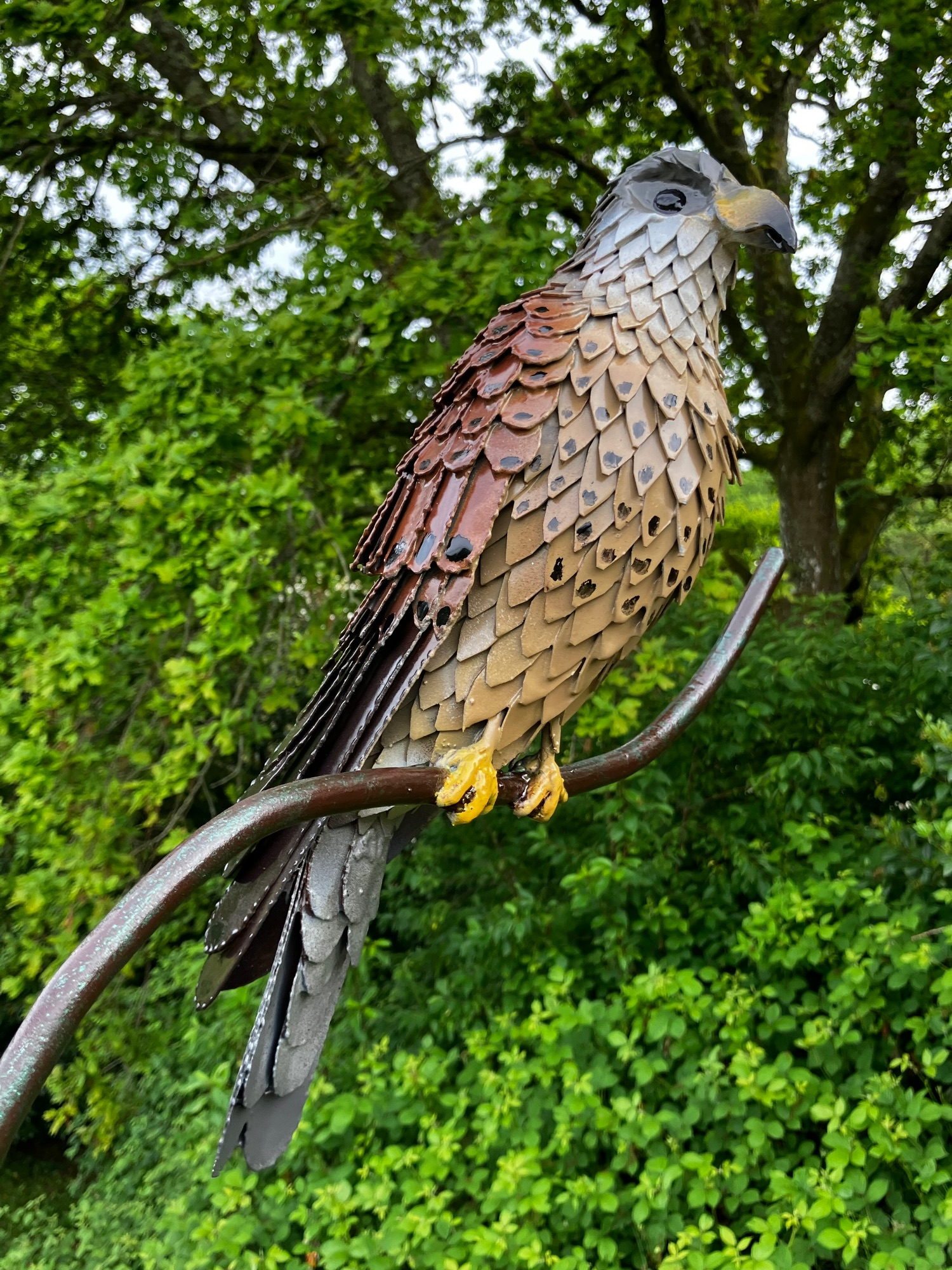 standen kestrel
